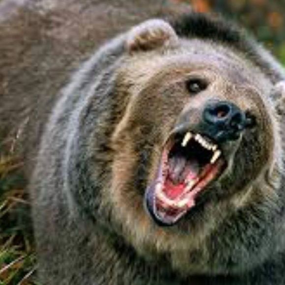 Meet your Posher, Peter - Picture 1 of 1